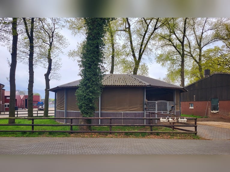 Reitanlage für Zucht, Sport und Reha