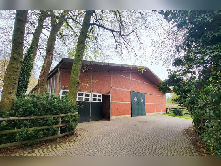 Reitanlage für Zucht, Sport und Reha