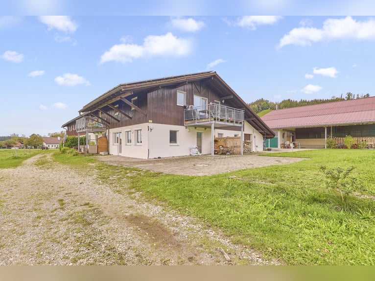 Reitanlage im Allgäu in malerischer Natur- Leben zwischen Bergen und Wäldern!