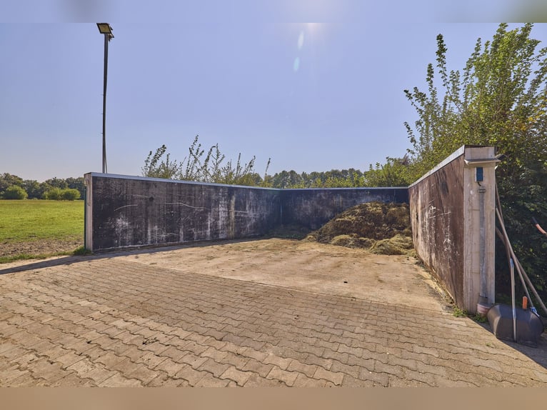 Reitanlage im Rhein-Main-Gebiet in Egelsbach mit mehr als 20 Hektar Fläche!