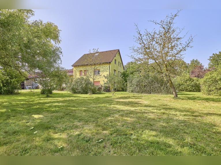 Reitanlage im Rhein-Main-Gebiet in Egelsbach mit mehr als 20 Hektar Fläche!