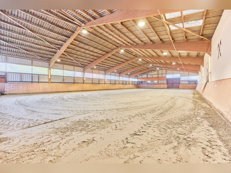 Reitanlage in Niedersachsen (Landkreis Uelzen) mit Wohn- und Gästehaus zu verkaufen!