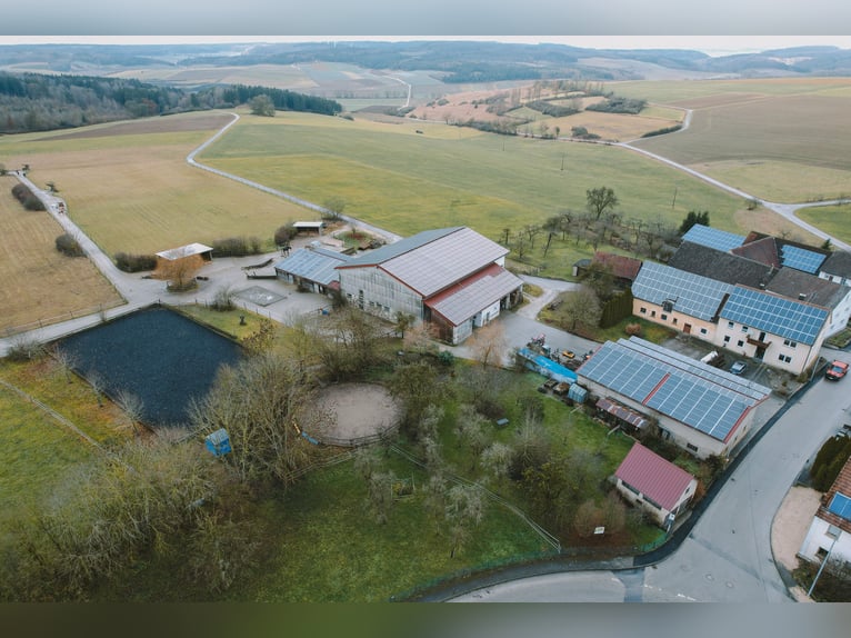 Reitanlage mit Wohnhaus, arrondierten Flächen und moderner PV-Anlage