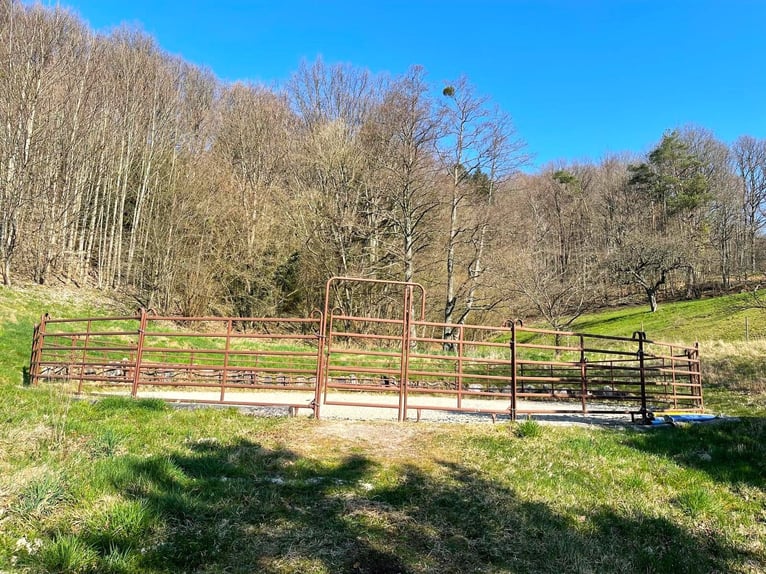 Reiterhof - Hofgut bei Freiburg im Breisgau