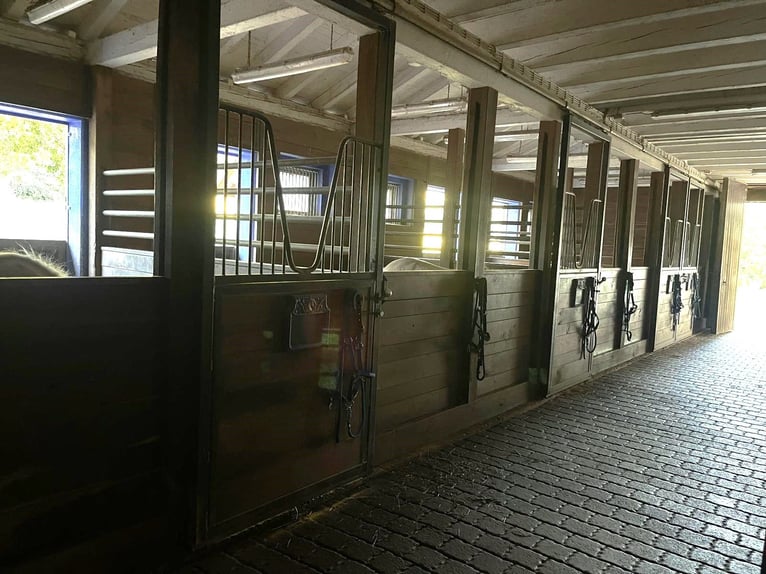 Reiterhof - Hofgut bei Freiburg im Breisgau