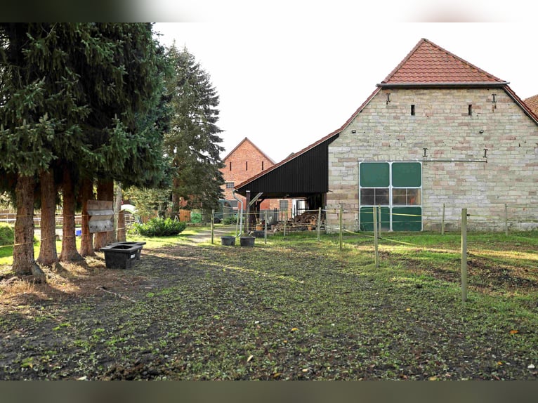 Reiterhof mit großzügigem Wohnhaus im Weserbergland