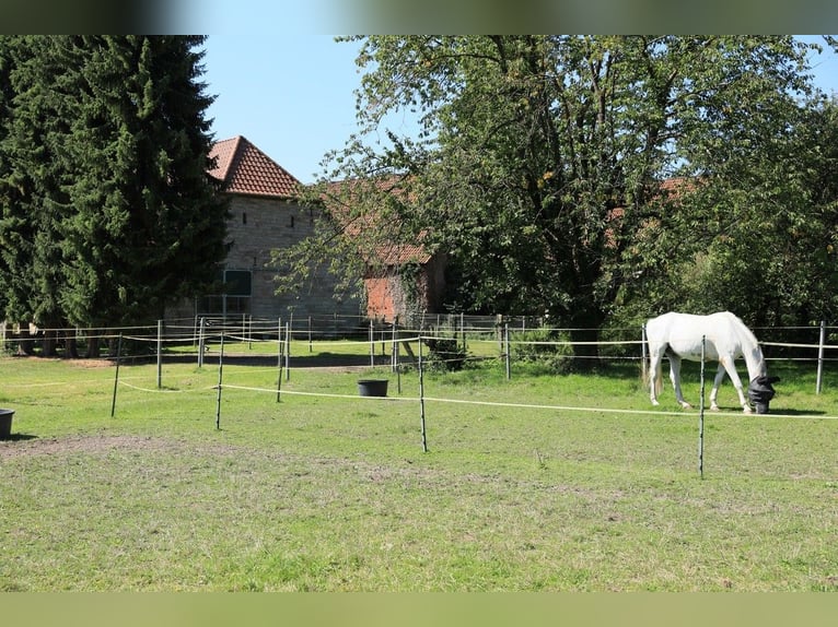 Reiterhof mit großzügigem Wohnhaus im Weserbergland