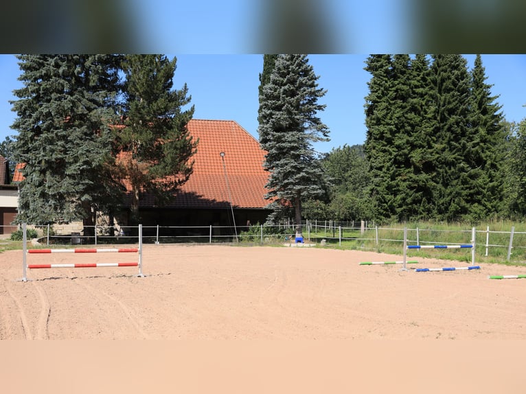 Reiterhof mit großzügigem Wohnhaus im Weserbergland