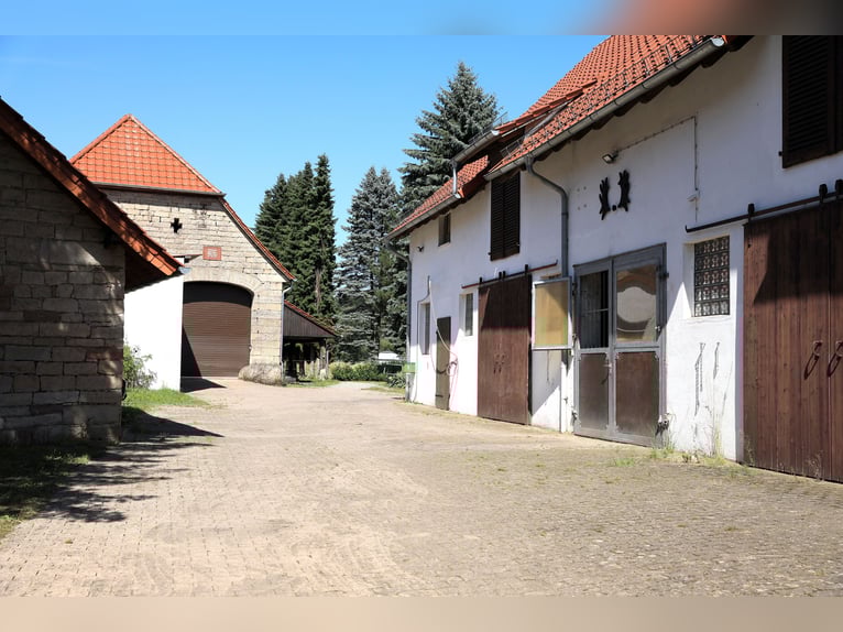 Reiterhof mit großzügigem Wohnhaus im Weserbergland