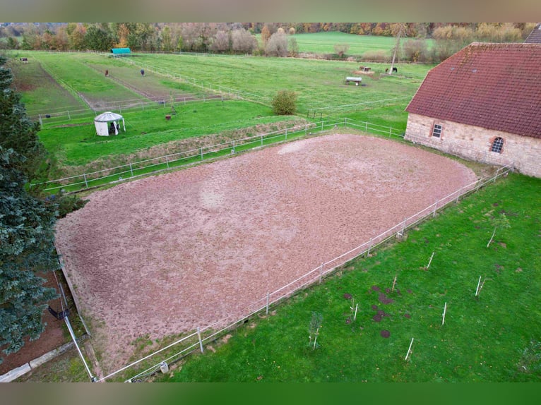 Reiterhof mit großzügigem Wohnhaus im Weserbergland