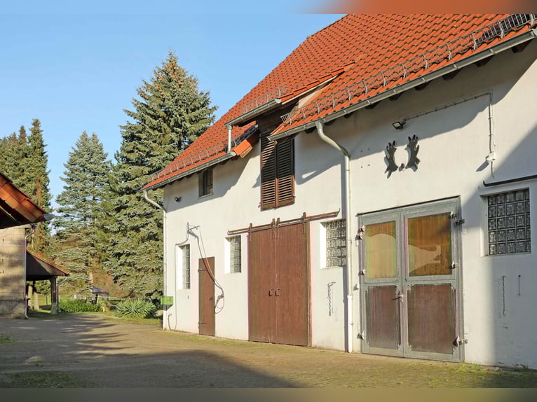 Reiterhof mit großzügigem Wohnhaus im Weserbergland