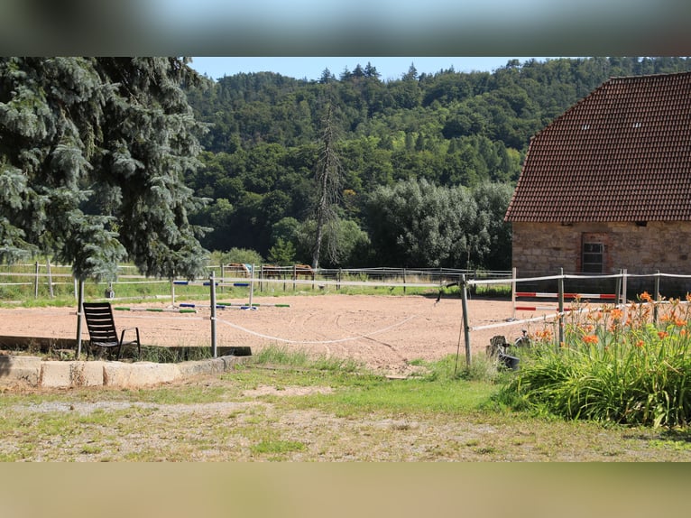 Reiterhof mit großzügigem Wohnhaus im Weserbergland