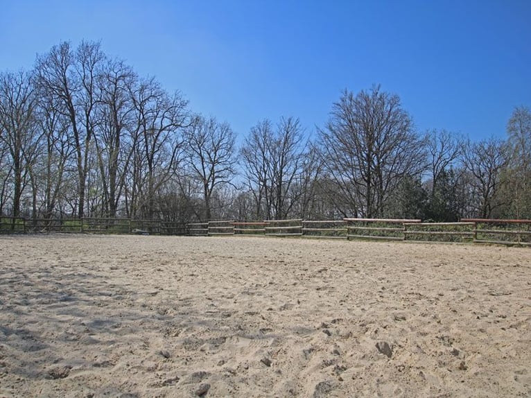 Reitsportanlage mit hochwertigem und modernem Einfamilienhaus und fünf Hektar Land