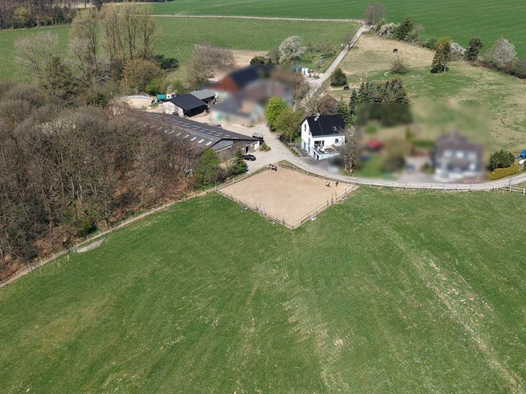 Reitsportanlage mit hochwertigem und modernem Einfamilienhaus und fünf Hektar Land