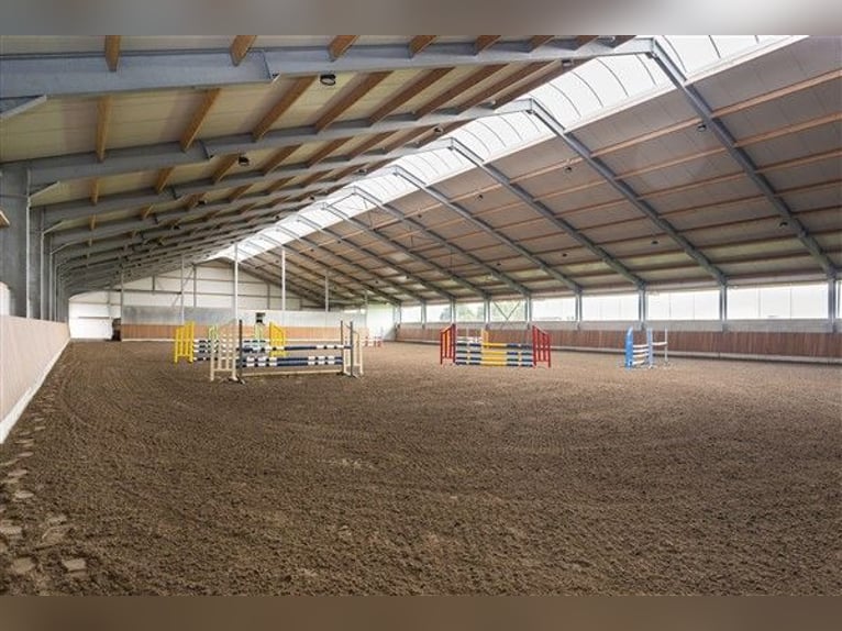 Renovated equestrian facility for sale! 