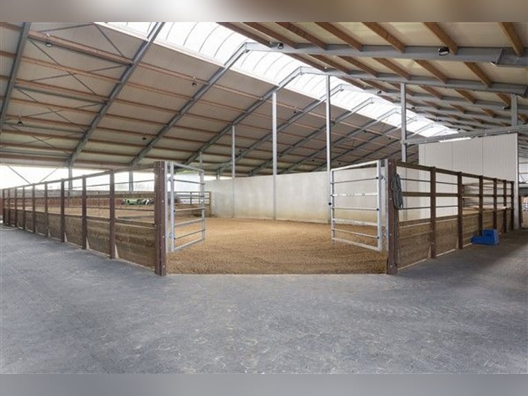 Renovated equestrian facility for sale! 