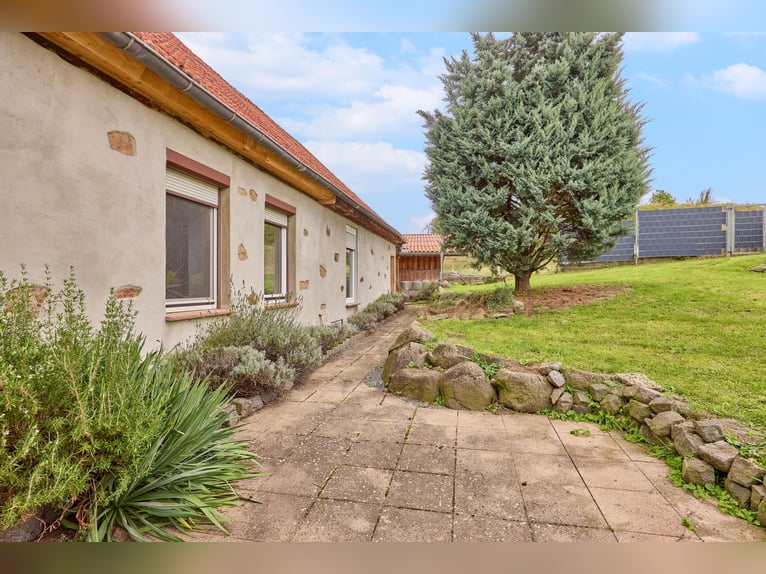 *reserviert* Pferdeimmobilie in Hessen – charmantes Fachwerkensemble mit Reithalle in Groß-Bieberau!