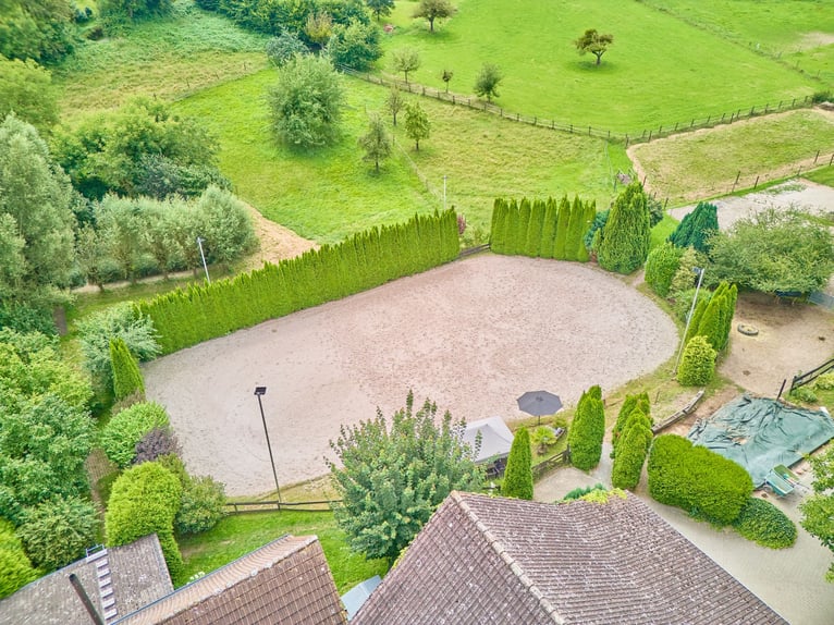 Romantische Hofreite in Erbach im Odenwald – Leben & Arbeiten mit den Pferden in absoluter Ruhe!