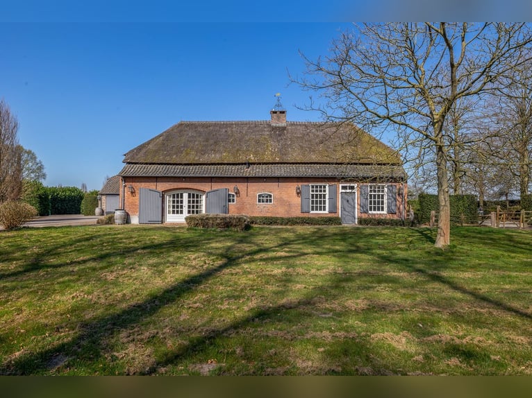 Royale Woonboerderij op Toplocatie met Paardenfaciliteiten