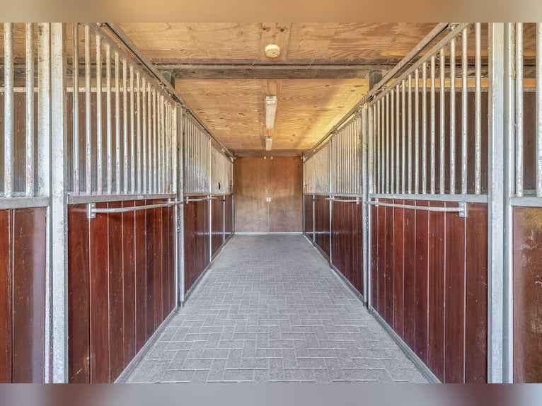 Royale Woonboerderij op Toplocatie met Paardenfaciliteiten