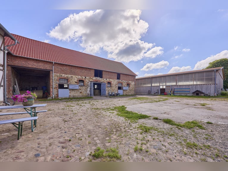 Ruiterfaciliteit bij Wolfsburg te koop, met ruimte voor ongeveer 18 paarden!