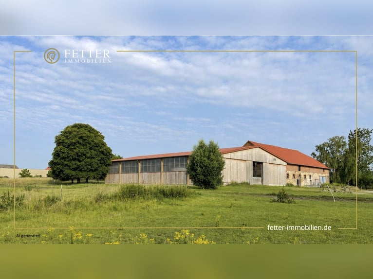 Ruiterfaciliteit bij Wolfsburg te koop, met ruimte voor ongeveer 18 paarden!