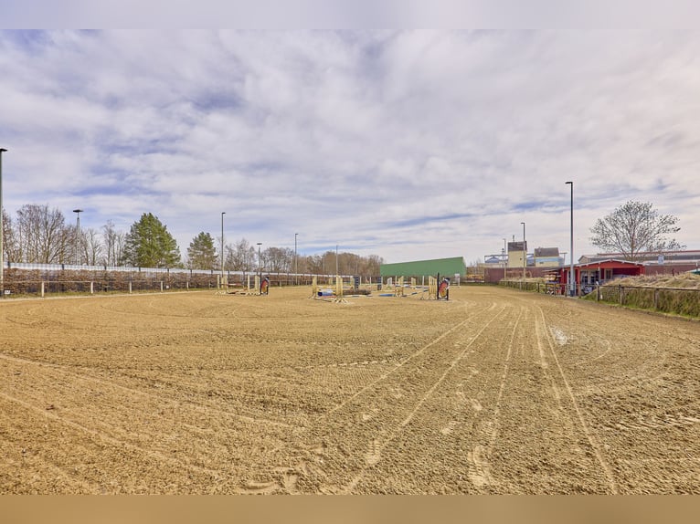 Ruiterfaciliteit in Dannenberg (Elbe) in Nedersaksen – gerenoveerde boerderij en woonhuis met potent