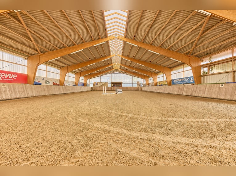 Ruiterfaciliteit in Hessen in de Main-Kinzig-Kreis – Vrijstaand met binnenbak, woonhuis en zwembad!