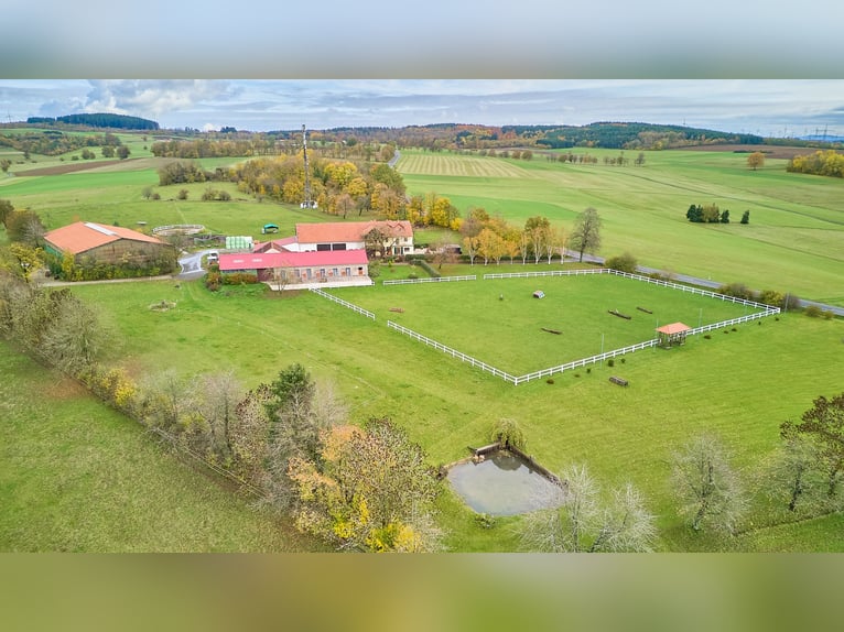 Ruiterfaciliteit in Hessen in de Main-Kinzig-Kreis – Vrijstaand met binnenbak, woonhuis en zwembad!