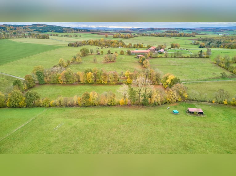 Ruiterfaciliteit in Hessen in de Main-Kinzig-Kreis – Vrijstaand met binnenbak, woonhuis en zwembad!