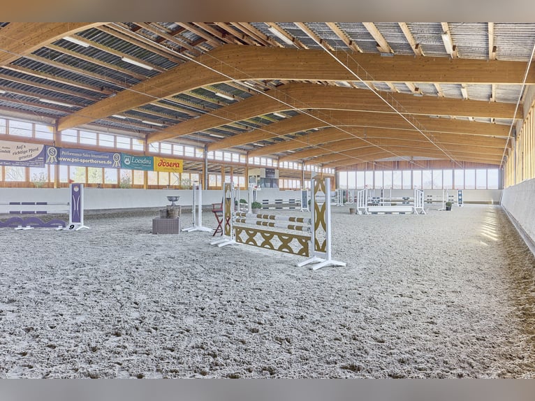 Ruiterfaciliteit in Mecklenburg-Vorpommern – direct aan de Mecklenburgse Merenplatte in een toeristi