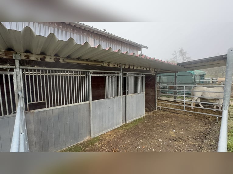 Ruiterfaciliteit in Osterburken – veelzijdige gebruiksmogelijkheden op een ruim perceel