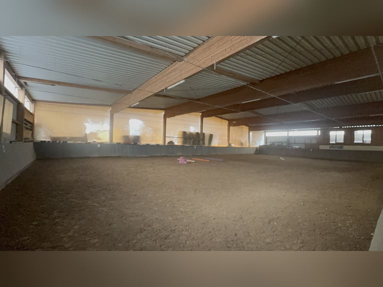 Ruiterfaciliteit in Osterburken – veelzijdige gebruiksmogelijkheden op een ruim perceel