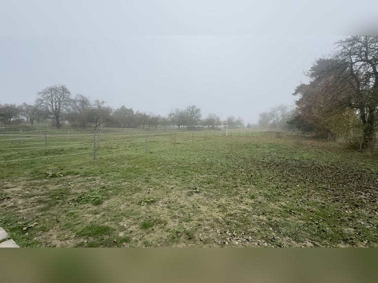 Ruiterfaciliteit in Osterburken – veelzijdige gebruiksmogelijkheden op een ruim perceel