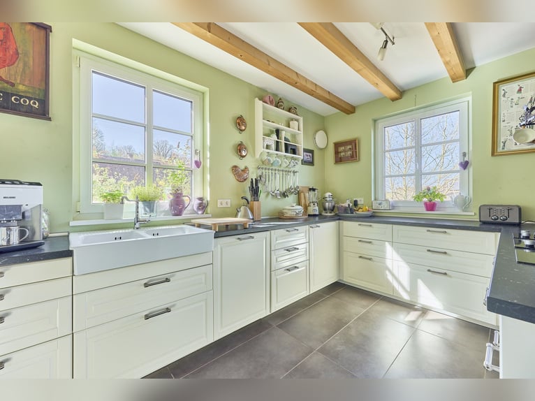 Ruiterfaciliteit in Rijnland-Palts – in de Donnersbergkreis met een actiefstall en een splinternieuw