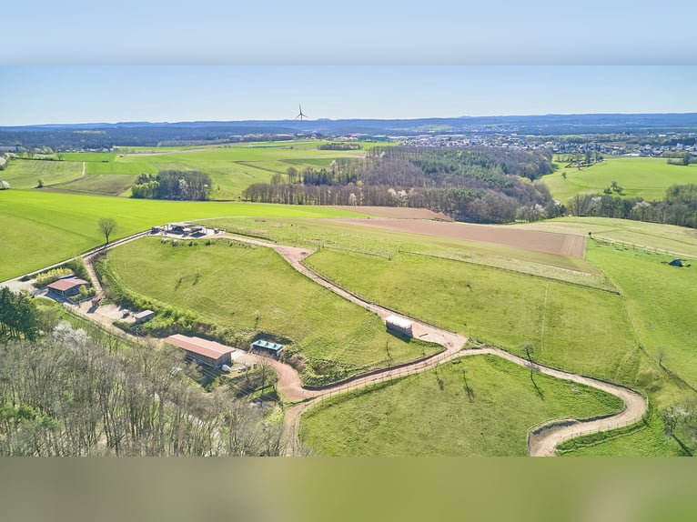 Ruiterfaciliteit in Rijnland-Palts – in de Donnersbergkreis met een actiefstall en een splinternieuw