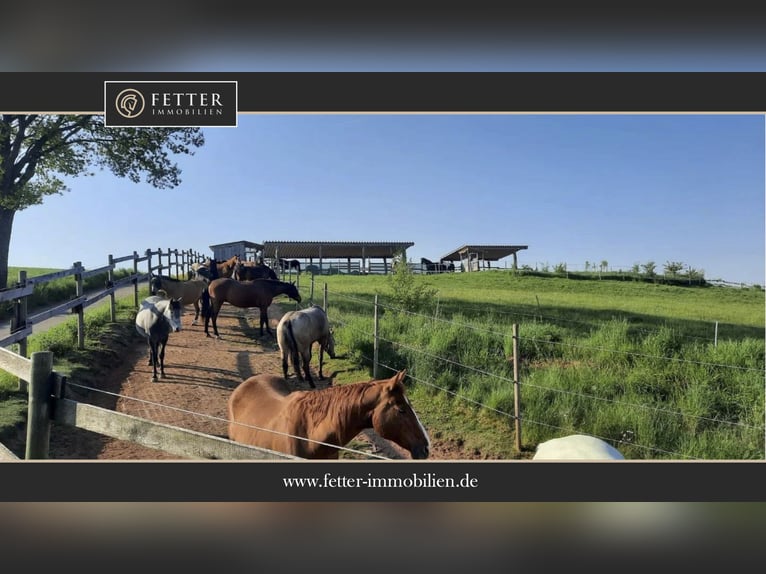 Ruiterfaciliteit in Rijnland-Palts – in de Donnersbergkreis met een actiefstall en een splinternieuw