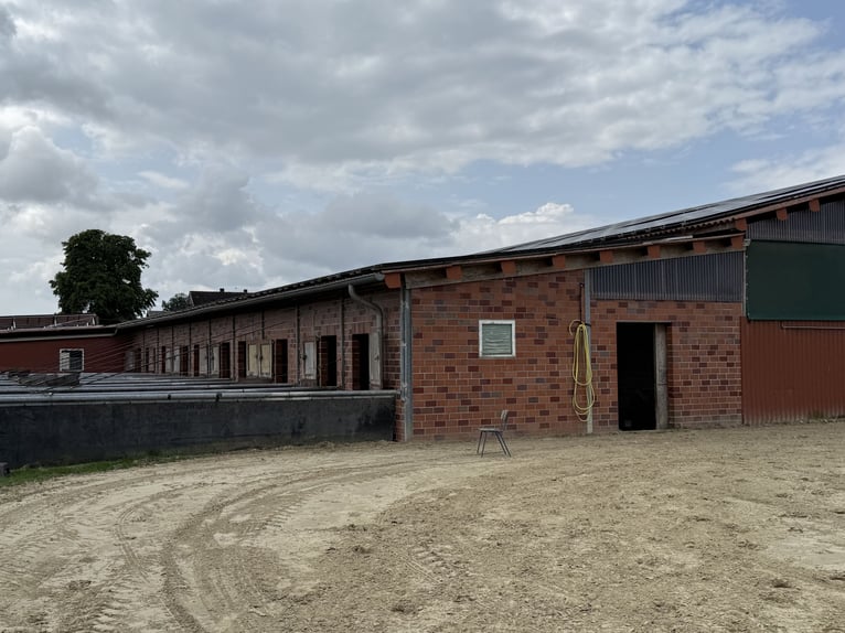Ruiterfaciliteit met overdekte rijhal voor ambitieuze ruiters en een leven met paarden. Tot 60 paard