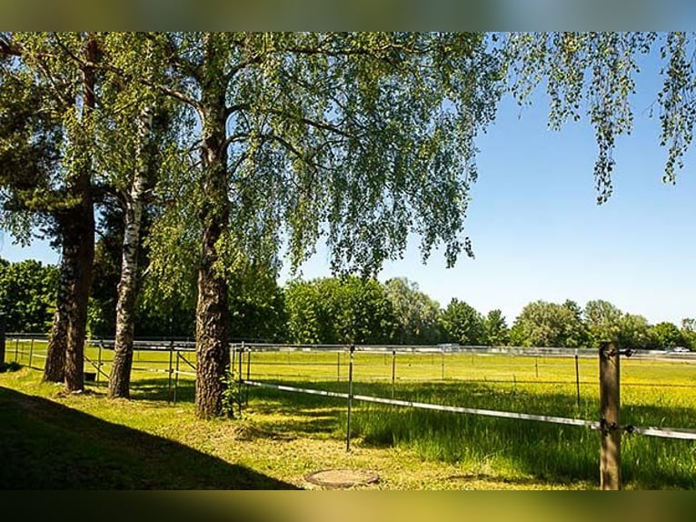 Ruiterfaciliteit nabij Landsberg am Lech - wonen en werken met paarden