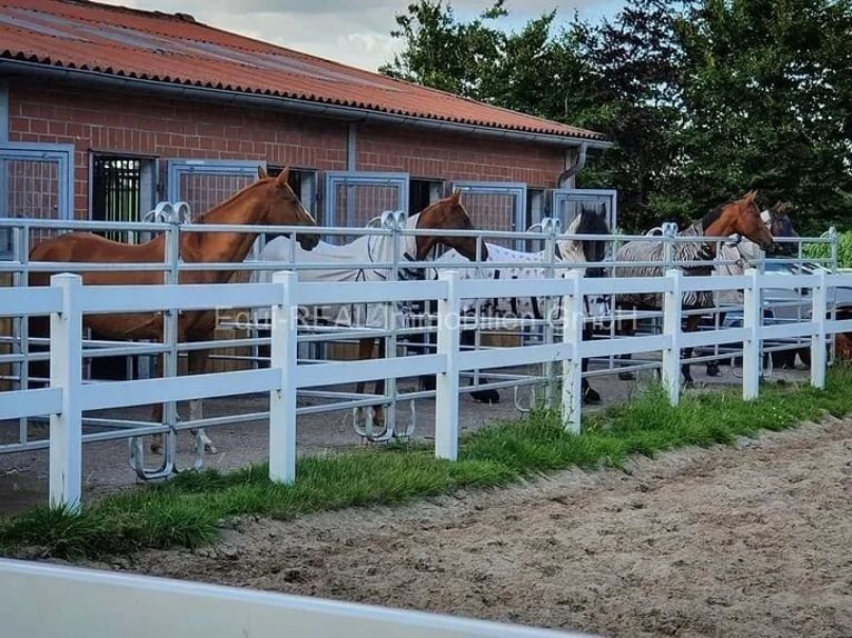 Ruiterfaciliteit op een idyllische locatie in het Ammerland
