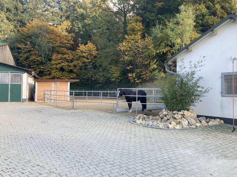 Ruiterfaciliteit op een prachtige, afgelegen locatie ten noordoosten van München