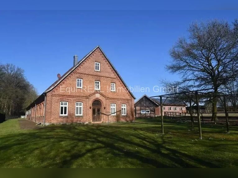 Ruiterfaciliteit op een schilderachtige locatie