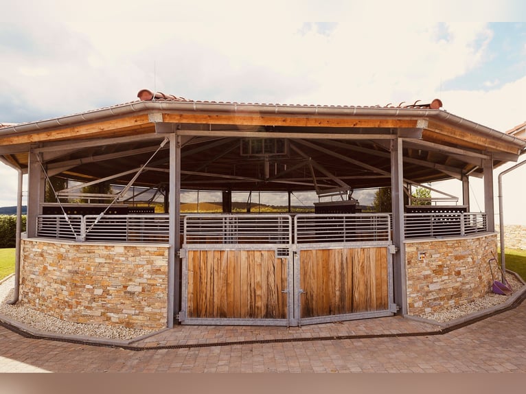 Ruiteridylle ontmoet design – stijlvol wonen, luxe genieten V13132