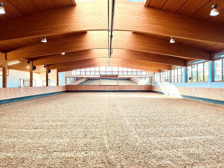 Ruiteridylle ontmoet design – stijlvol wonen, luxe genieten V13132