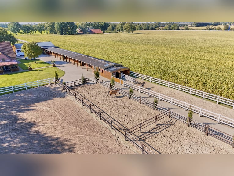 Schicke Reitanlage im Emsland mit gehobenem Wohnkomfort und gewerblicher Pferdehaltung!