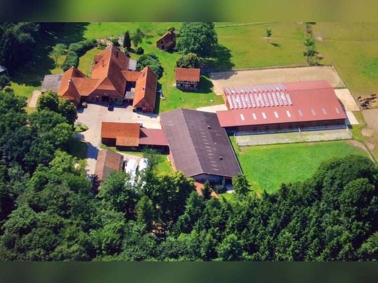 Schöne 1,5-Zimmer-Wohnung auf idyllischem Pferdehof zu vermieten