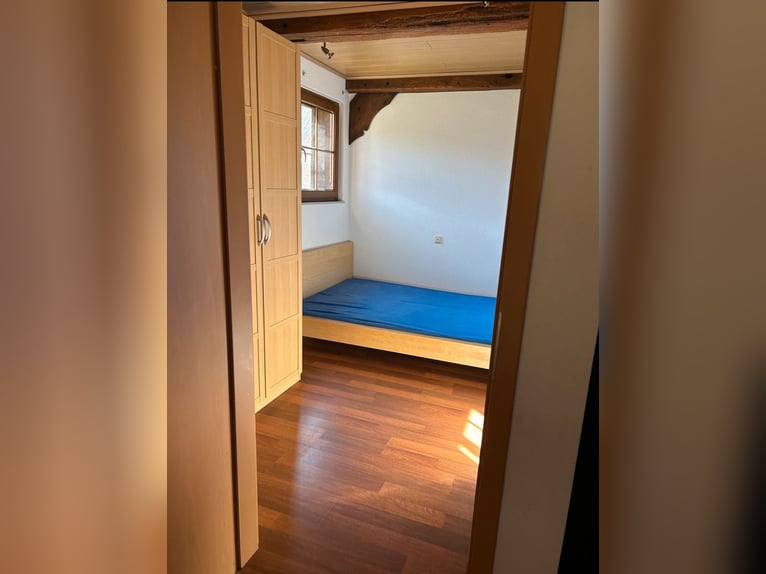 Schöne 1,5-Zimmer-Wohnung auf idyllischem Pferdehof zu vermieten