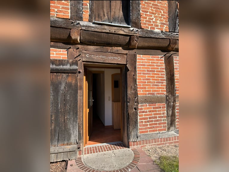 Schöne 1,5-Zimmer-Wohnung auf idyllischem Pferdehof zu vermieten