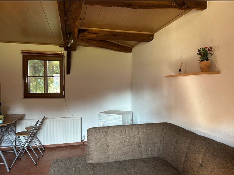 Schöne 1,5-Zimmer-Wohnung auf idyllischem Pferdehof zu vermieten
