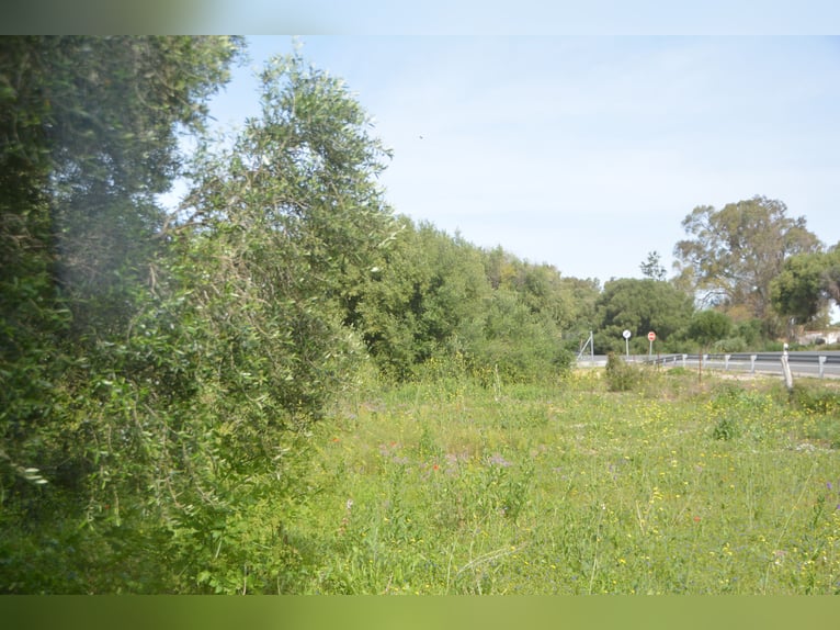 Schöne Finca mit besonderem Charme